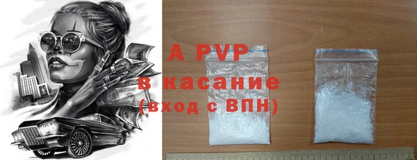 прущие грибы Аркадак