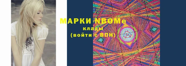 прущие грибы Аркадак