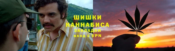 прущие грибы Аркадак