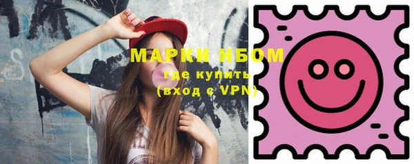 прущие грибы Аркадак