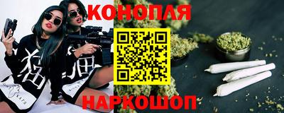 мдпв Брянск