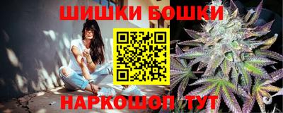 мдпв Брянск