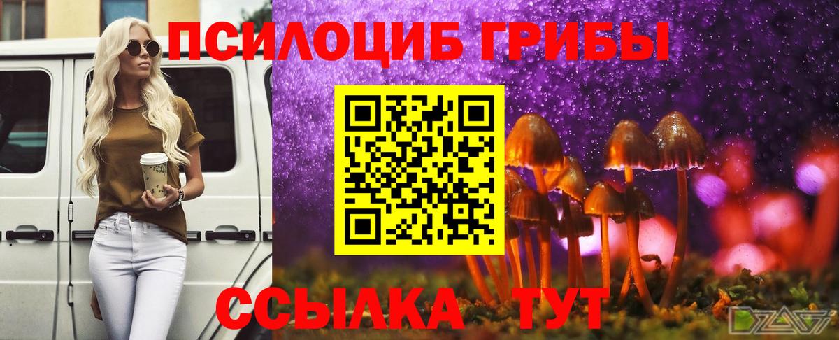 Галлюциногенные грибы Psilocybine cubensis  Вход с VPN  Белово 